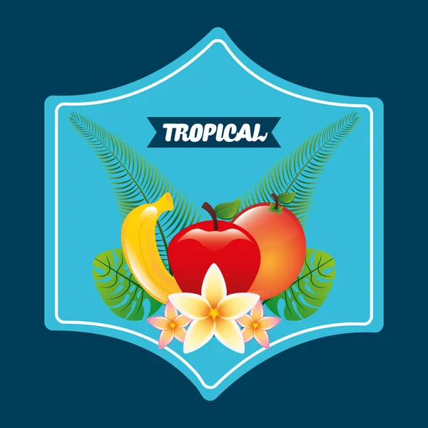 Design tropicale della frutta — Vettoriale Stock