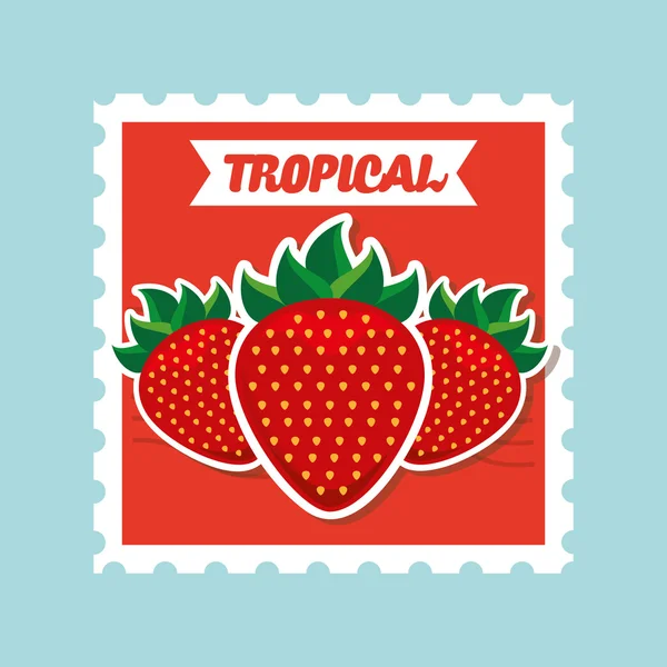 Diseño de frutas tropicales — Archivo Imágenes Vectoriales