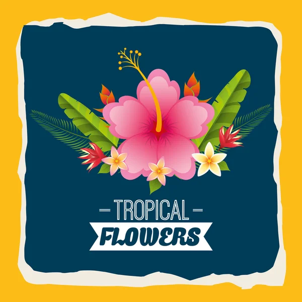 熱帯の花 — ストックベクタ