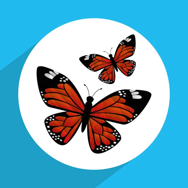 Hermoso diseño de mariposa — Vector de stock