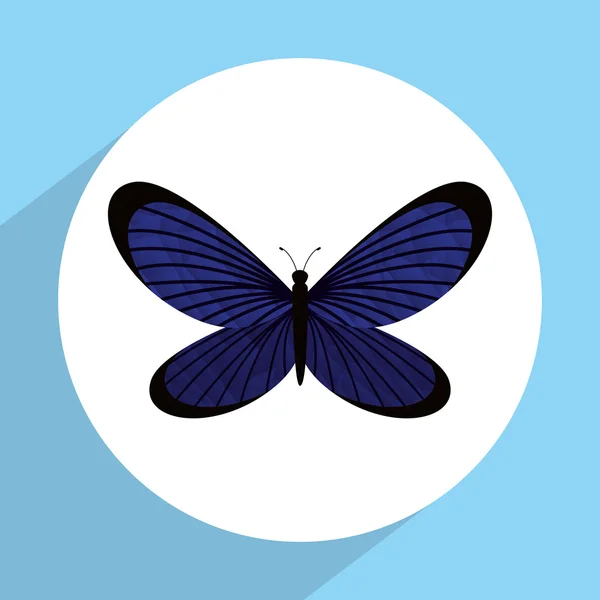 Beau design papillon — Image vectorielle