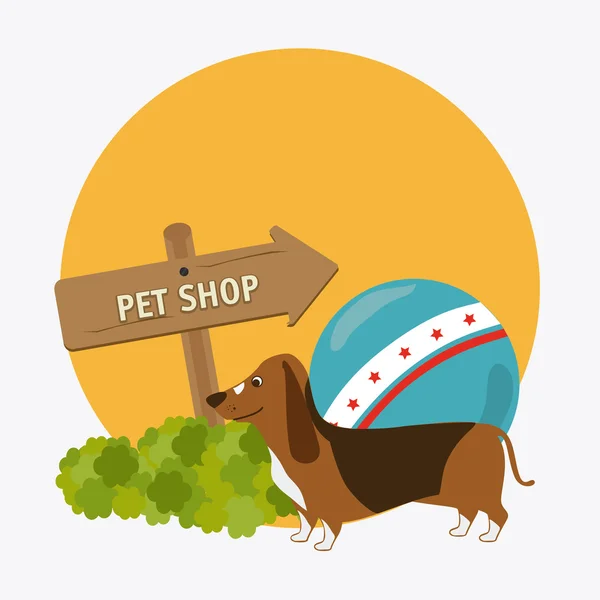 Pet shop design. — Stockový vektor