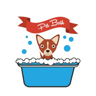 Maskot kavramı
