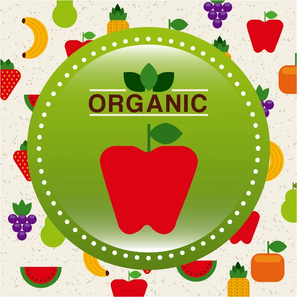 Органические сельскохозяйственные продукты — стоковый вектор