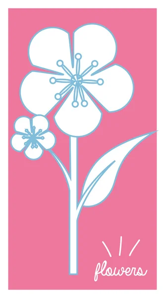 美丽的花卉设计 — 图库矢量图片