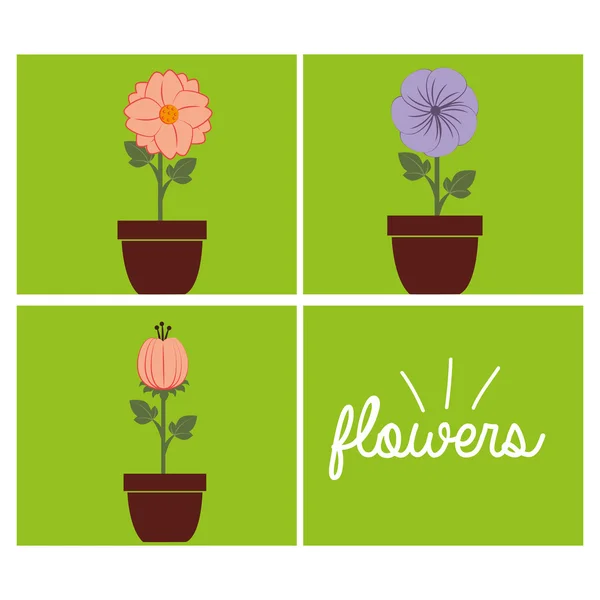 Schönes florales Design — Stockvektor