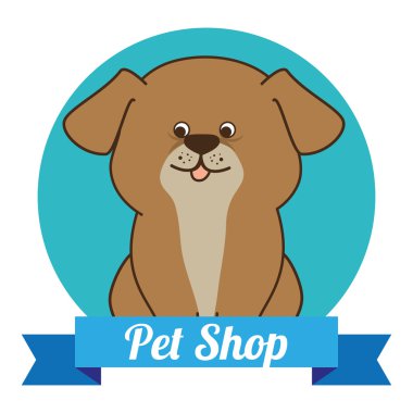 Hayvan Dükkanı