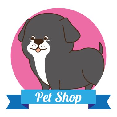 Hayvan Dükkanı