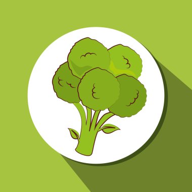 Sağlıklı gıda ve vegan yaşam