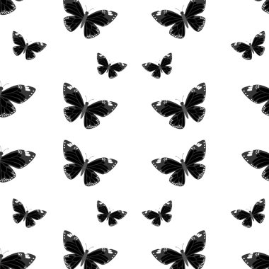 güzel kelebek çerçevesi