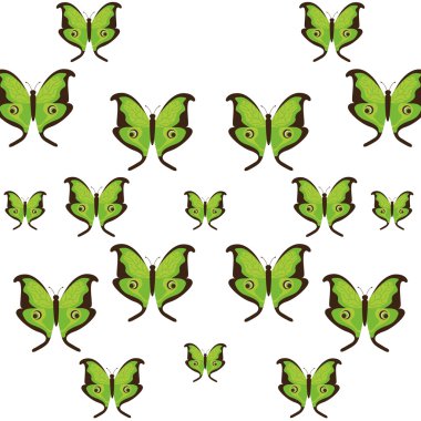 güzel kelebek çerçevesi