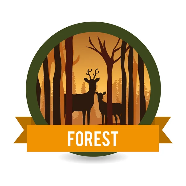 Skogens naturliga parker och landskap — Stock vektor