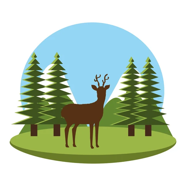 Lesní přírodní parky a krajina — Stockový vektor