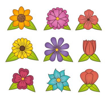 Çiçek ve çiçek tasarım.