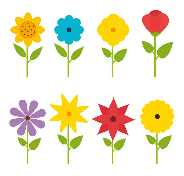 Flores y diseño floral . — Vector de stock