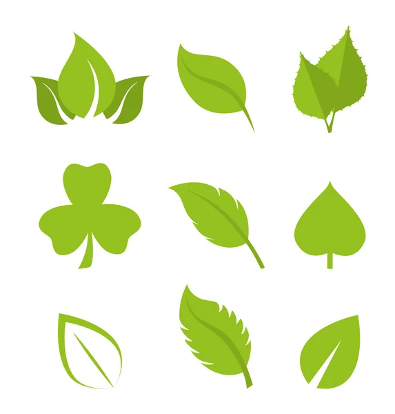 Natura verde e foglie di design . — Vettoriale Stock