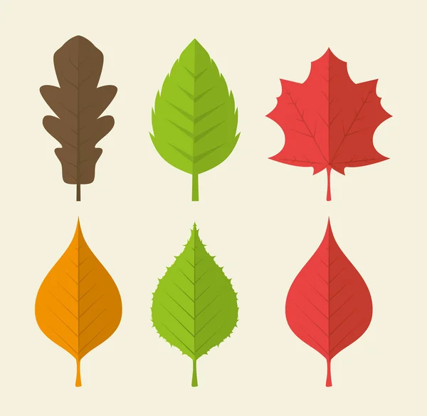 Naturaleza verde y diseño de hojas . — Vector de stock