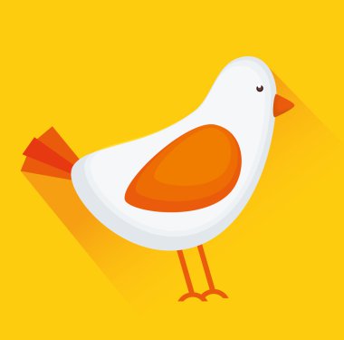 Kuş ya da kuş hayvan