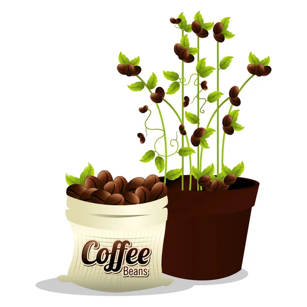 Café et boissons — Image vectorielle