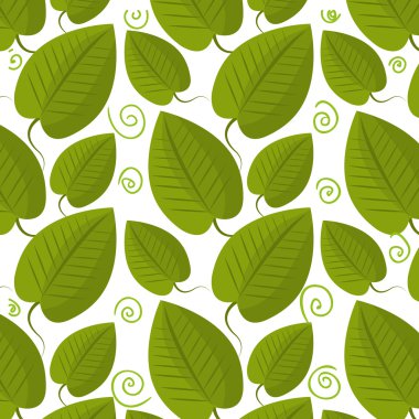 Yaprak ve yaprak ekoloji grafiği