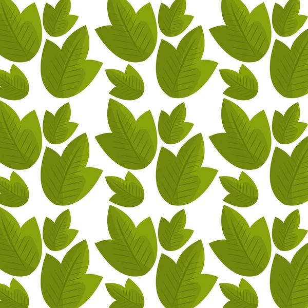 Liść i liści ekologia graficzny — Wektor stockowy