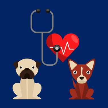 Veteriner Merkezi tasarım