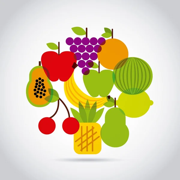 Nutritional food design — Stock Vector