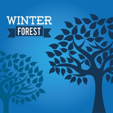 kış sezonu tasarım