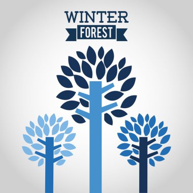 kış sezonu tasarım