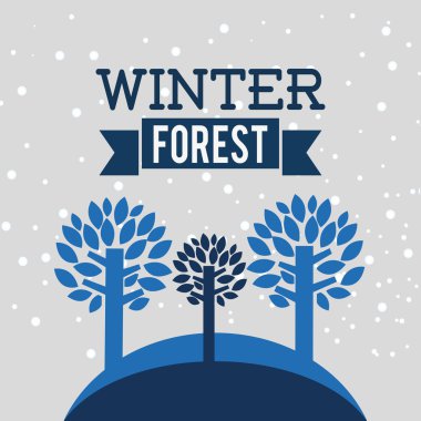 kış sezonu tasarım