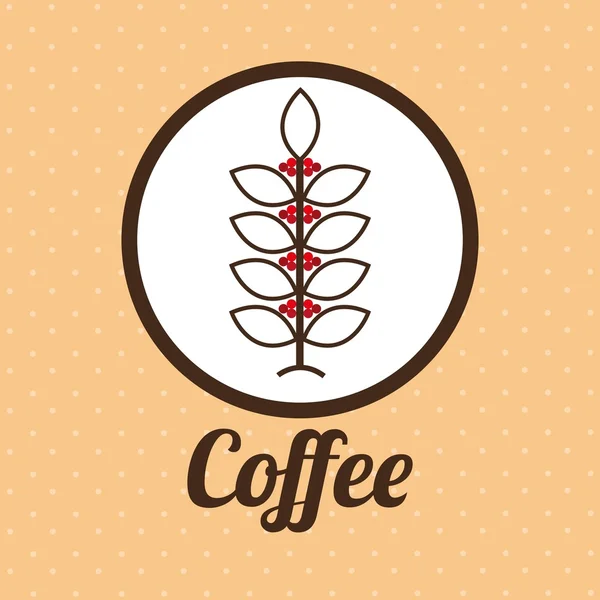 Délicieux design de café — Image vectorielle