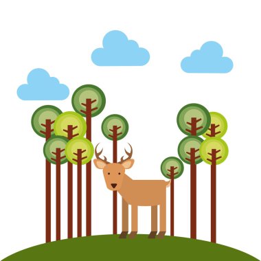 Hayvanat bahçesi hayvanları Tasarla 