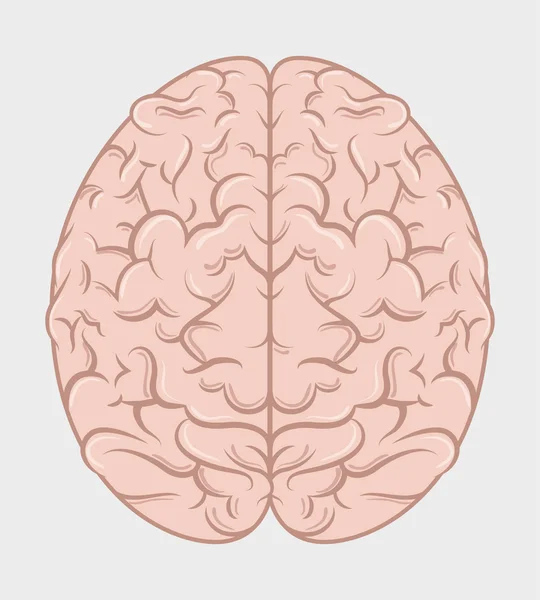 Inteligencia del cerebro humano — Archivo Imágenes Vectoriales