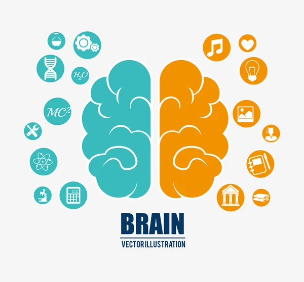 Inteligência do cérebro humano — Vetor de Stock