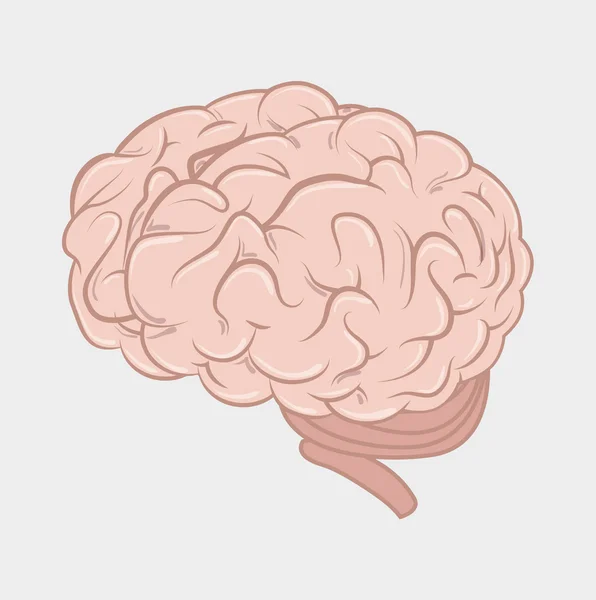 Intelligence of the human brain — Stock Vector