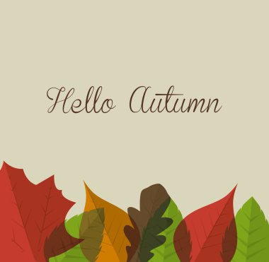 Ekoloji yaprak, yaprak