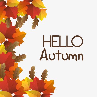 Ekoloji yaprak, yaprak