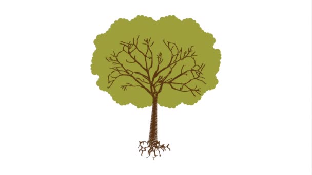 Ökológiai tervezés, fa — Stock videók