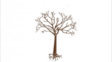 Ekoloji tasarım ağacı