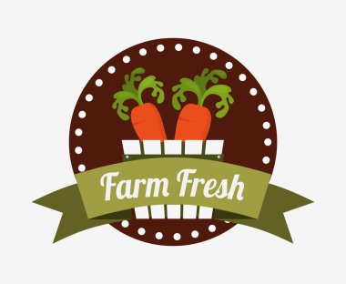 organik ve taze ürün tasarımı