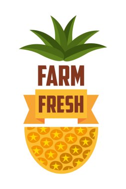 organik ve taze ürün tasarımı