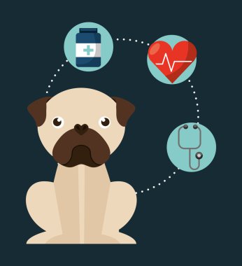 Evde beslenen hayvan kaygı tasarım