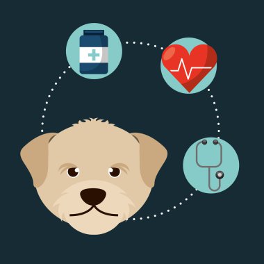 Evde beslenen hayvan kaygı tasarım