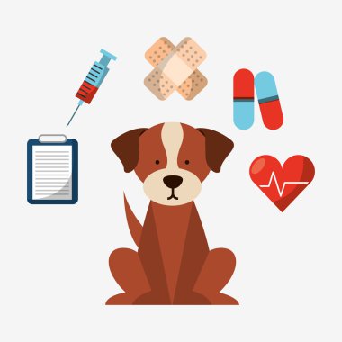 Evde beslenen hayvan kaygı tasarım