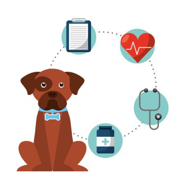 Evde beslenen hayvan kaygı tasarım