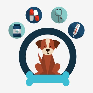 Evde beslenen hayvan kaygı tasarım