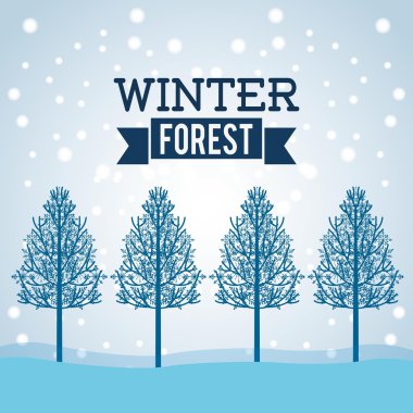 kış sezonu tasarım