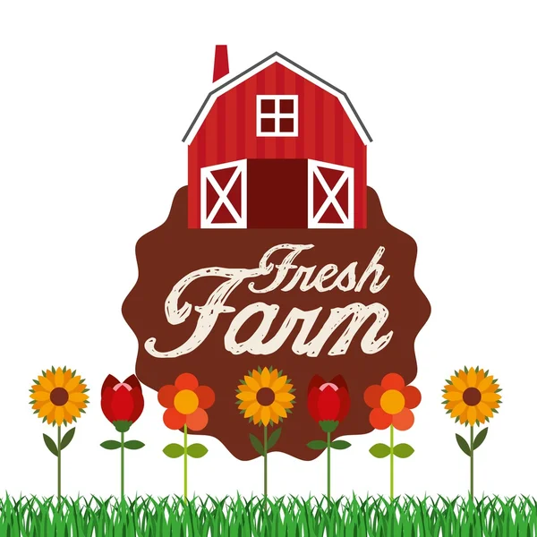 Farm fresh design — Stock Vector