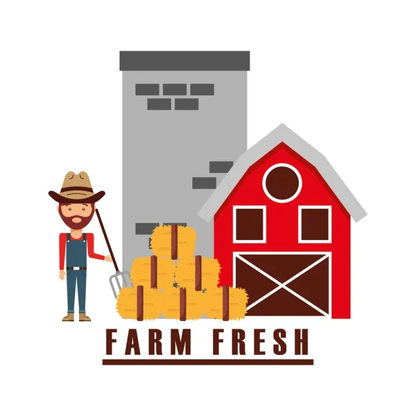 Farm friss design Vektor Grafikák