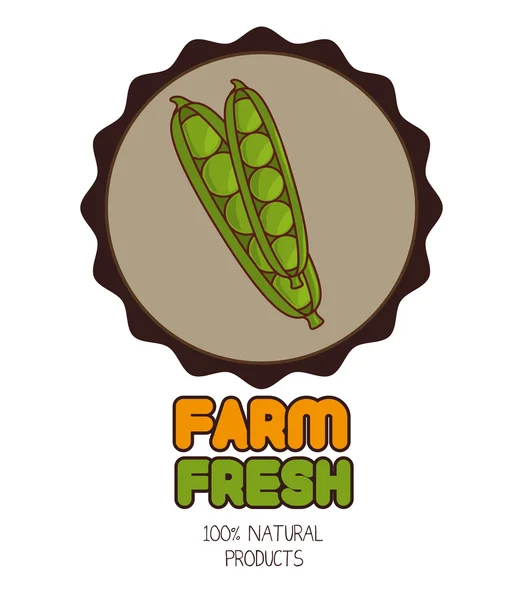 Farm fresh graphic design — Stock Vector